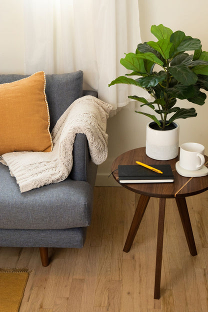 The Line edition End Table | Walnut